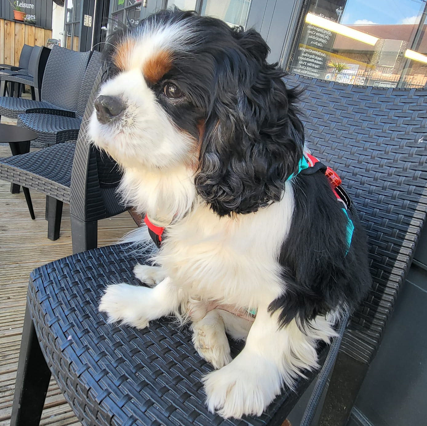 2024_2025 - Murphy - 23.jpg